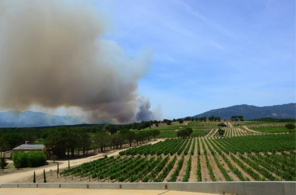 Per desgràcia aquestes eren les vistes des de les nostres vinyes diumenge al migdia. Molts ànims a tots els afectats.