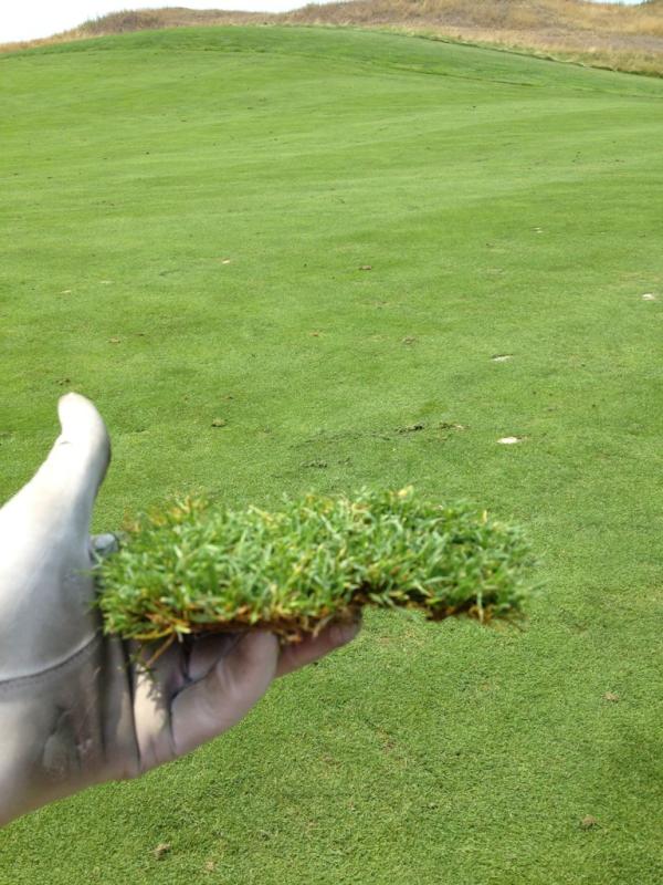 I wish you could make divots like this in Texas. #NewYorkGolf