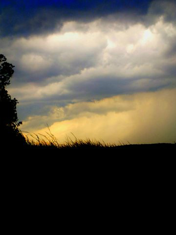 GreatBayNERR's tweet photo. Awesome #summerstorm over #GreatBay! #Photo courtesy of Kelle Loughlin @GBPWaterkeeper @PREPCommunity @Seacoast_Local http://t.co/Ru7QKtND