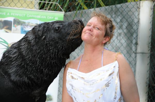 get kissed by the sun...or by a friendly sea lion at Maya Key
#sealionencounter