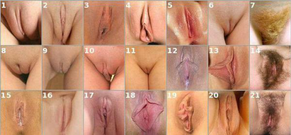 allihadi87's tweet photo. كل وحدة تختار كس و��كول هذا يشبة مالي http://t.co/hPzc1iMa
