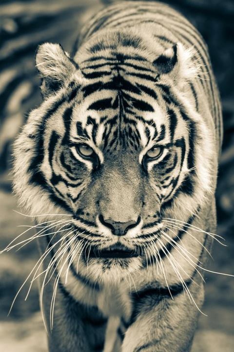 PierFunky's tweet image. Odio le persone false...ne conosco troppe!