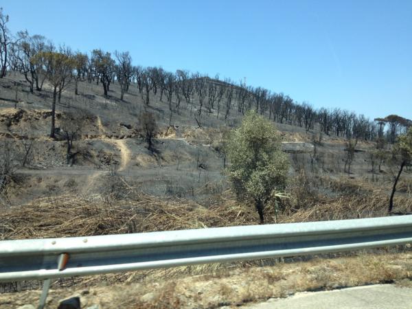 bssomers's tweet photo. Dan wil je al eens op een rustige plek zitten in Spanje #bosbrand http://t.co/zFrdqSVi