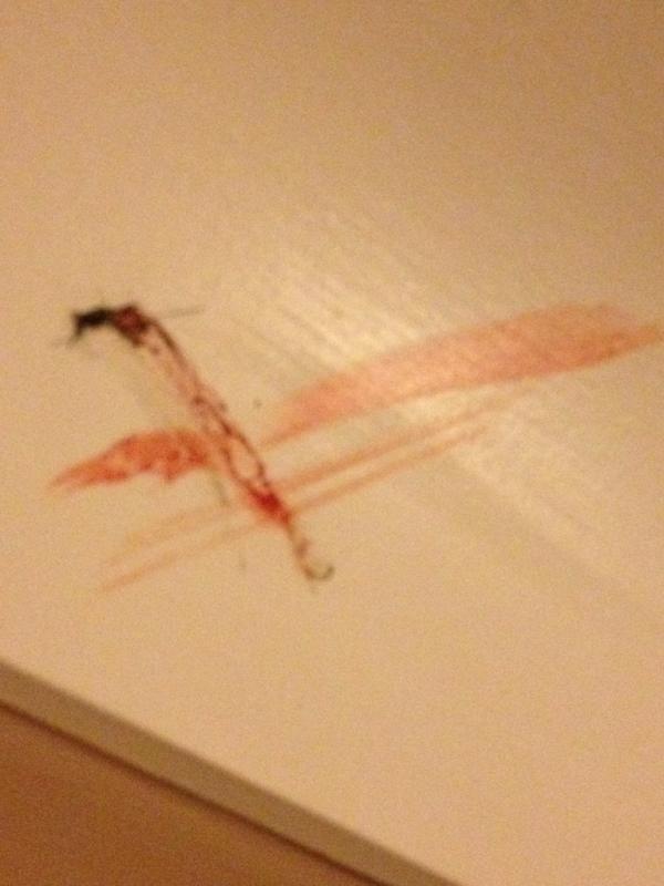 willsyl's tweet image. operation clean up was a fail and all #gonnavom