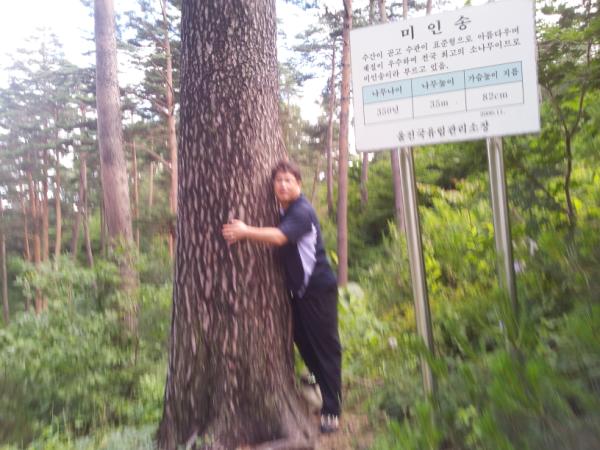 이런 나무가 자라는 소광리  정말 멋지네요!