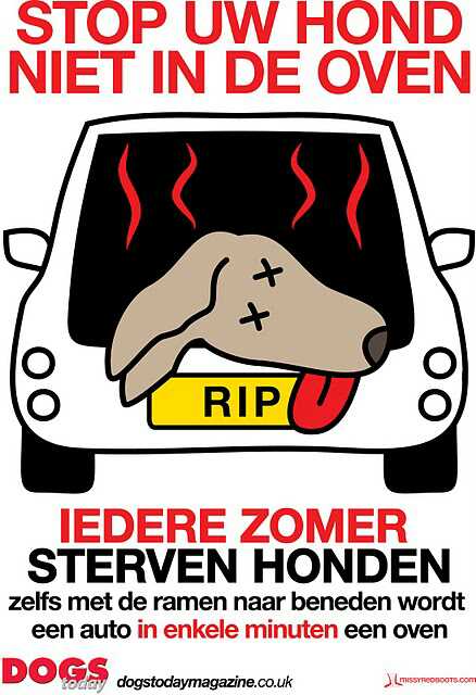 Laat kinderen of dieren niet achter in de auto. Ook niet als u 'even een boodschapje doet'. Temperatuur loopt snel op.