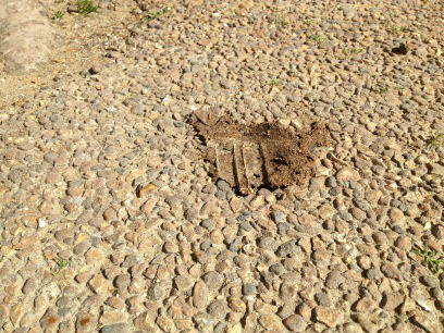 Pootition's tweet image. every day we are greeted by this crap @IslingtonBC