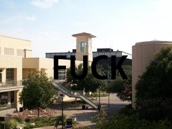 brybeja's tweet image. @myniggacedes @treyydaniel @UTSAproblems #UTSAProblems