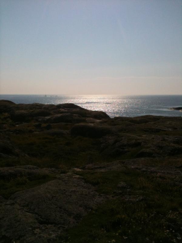 BirgittaAson's tweet image. Svensk sommar när den är som bäst. #förberedelse #tjejklassiker #vilodag