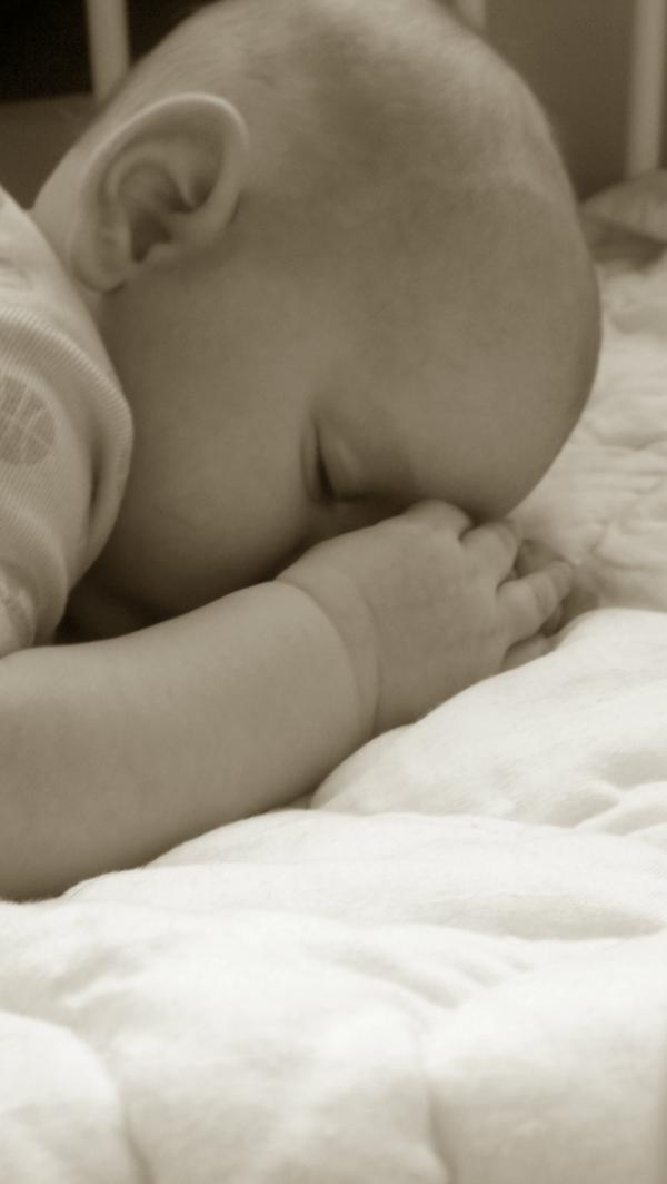 Kimbudreau's tweet photo. All snuggled. <3 http://t.co/oD5nZodX