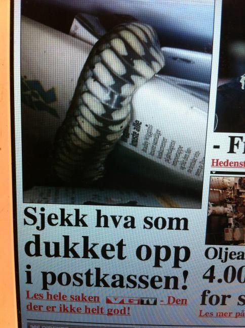 miajunoarnar's tweet photo. Jeg hater å være den som ødelegger overraskelsen, men jeg tror det er en slange.... http://t.co/1HQRZO0Q