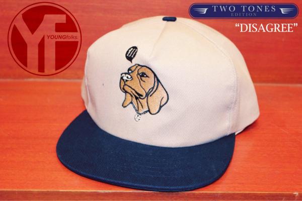 "Disagree" snapback, two tones edition 2012