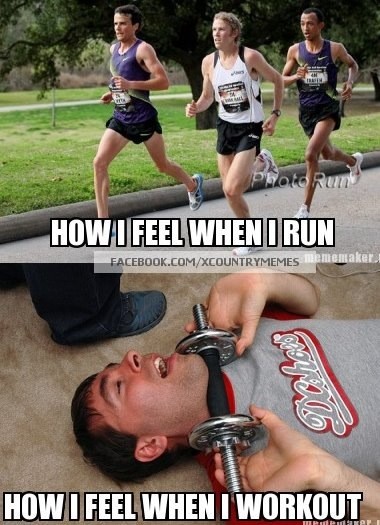 _Sionnach_'s tweet image. #distancerunnerproblems