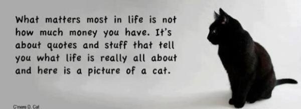 ForstSiddler's tweet image. 