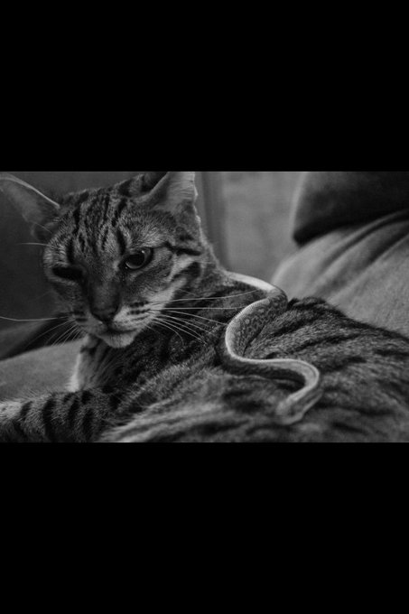 Watch ♕MelvinJamesFilmworks's leaked NSFW photo on TwXstars