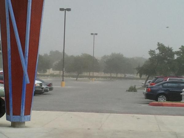 Laureno93's tweet image. oh no we lost a tree :( #motherearthispissed