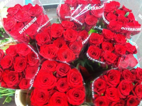 It's new, it's Red and it's called? "Mary Me"! Now @ J van Vliet Aalsmeer!