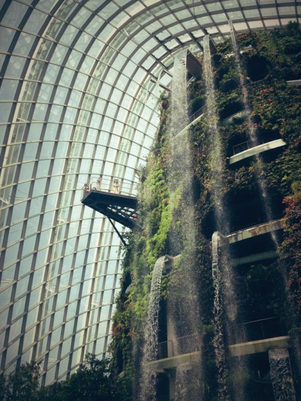 KartuPos's tweet photo. Lihat saja air terjun buatannya, The Fall, di dalam Cloud Forest dome, Gardens by the Bay. Stunning. http://t.co/zSBfns7a