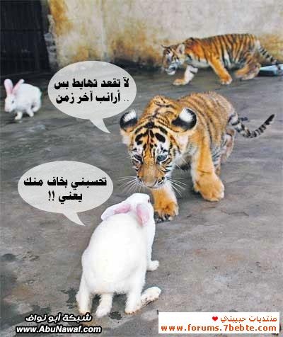AnoodahNo's tweet photo. http://t.co/nVOhvPyz
