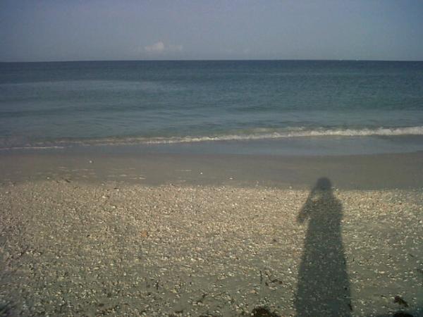 lizabethmarie_9's tweet image. day two #sarasotabeach