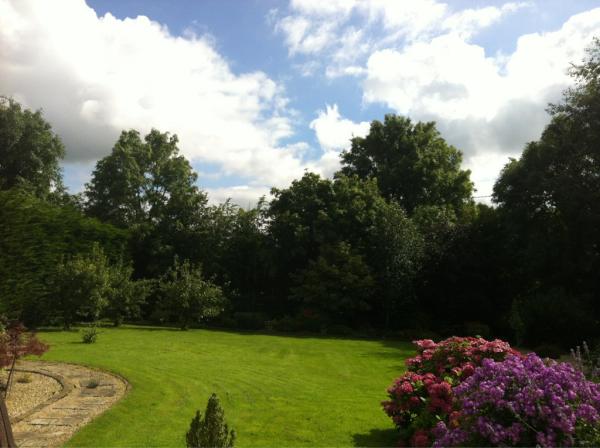 MaeveO87's tweet image. How is one supposed to study in this sunshine?? :( #fml #studyblues #nevergetanythingdone 😢☀📝📖