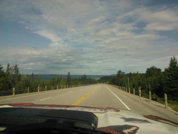 Max & Maxine tweet media