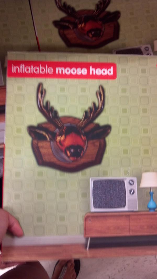 duchess_inez's tweet image. Oh! An inflatable moose head! Just what I have been searching for! #seriouslywhy #noteveninFowlerville