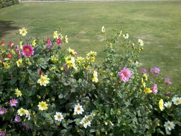 RONUJPEGu's tweet photo. The best &amp; most beautiful things in the world can't be seen  or touched.... They must be felt with heart... http://t.co/B2yzYAbO