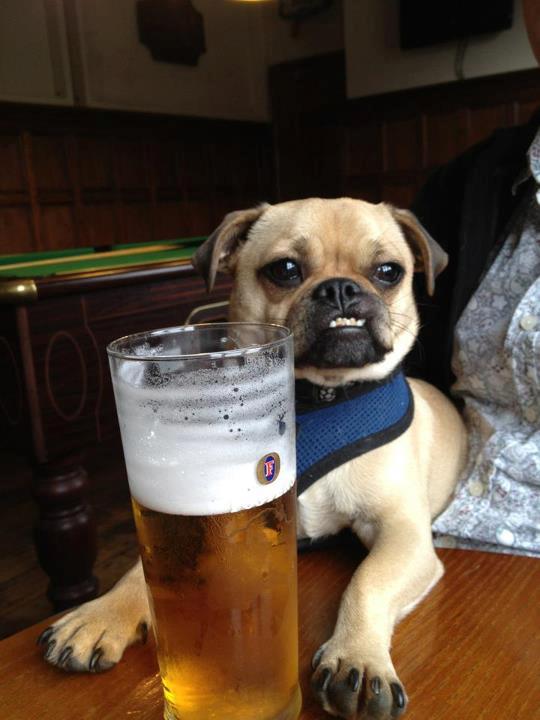 edpimage's tweet image. Beernessssssss! !