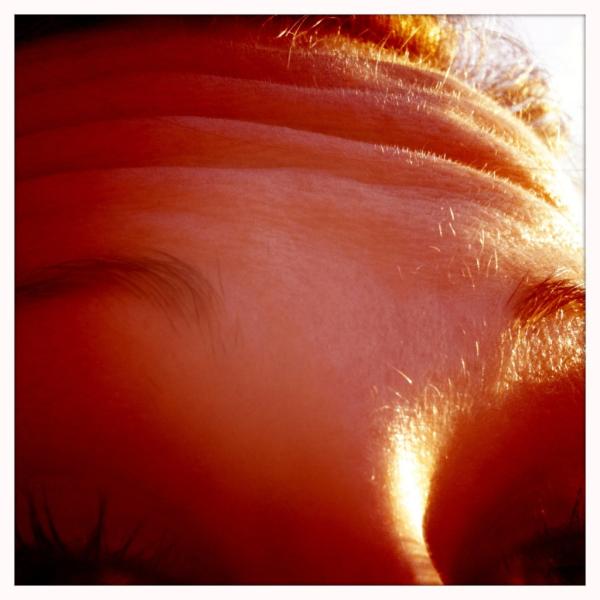 MultiMalin tweet picture