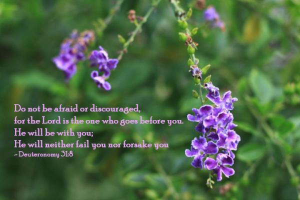 HeisourSavior tweet picture