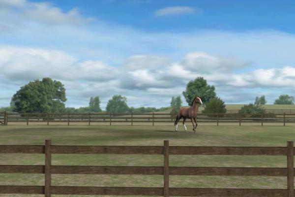 SamyllaLima's tweet photo. Confira a minha foto! Adicione-me, UrsineJoker174. #MyHorse http://t.co/eKoUihyk http://t.co/sdX6yt3F