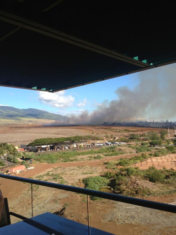helewks's tweet photo. Meanwhile in Maui #troubleinparadise http://t.co/lmmSzdLm