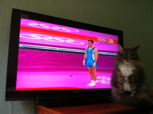 titanes's tweet photo. Nuestra hermanita nos envía una foto desde Londres. Pobrecita, cree que no nos damos cuenta que es una tele. http://t.co/1qGCF7RP