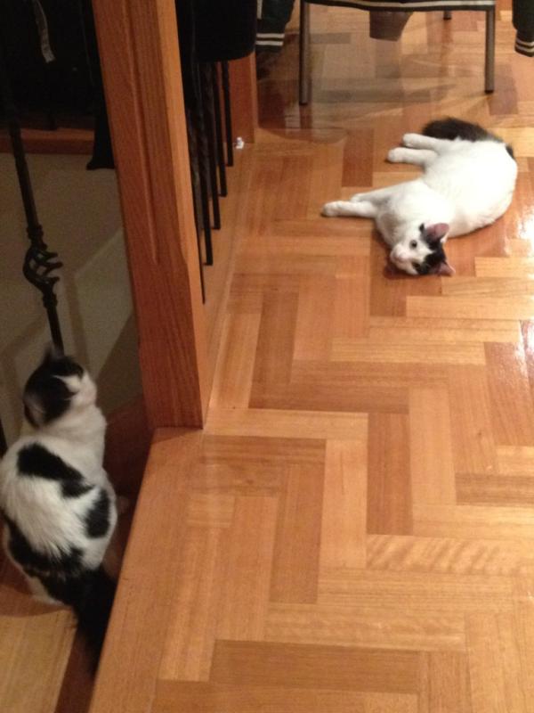 stevilui's tweet image. Love u Dear