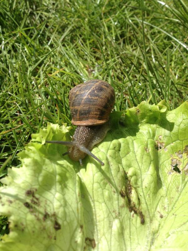 amybrown90's tweet photo. http://t.co/M6oRuEGB