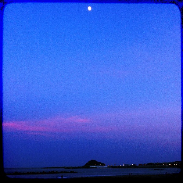 hatoko723's tweet photo. 飴色に染まる前 http://t.co/v7yWXhCU