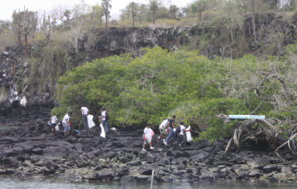 El programa de limpieza costera cuenta con pescadores, voluntarios quienes recolectan, clasifican y pesan lo encontrado