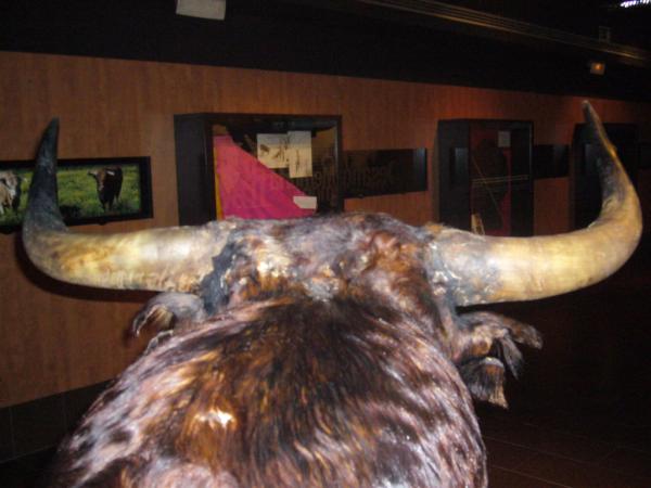 Javarnau's tweet photo. Cuánta amabilidad, cuánta tradición! Qué tarde la del viernes en el @MuseoEncierro de Pamplona junto con @Mago_Arnau! http://t.co/z28g8DJr