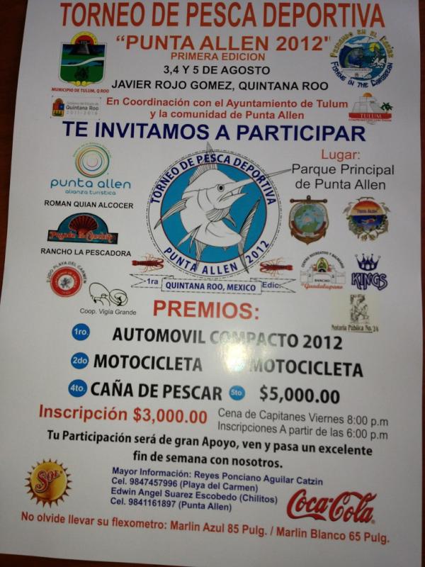 Ayuntamiento Tulum tweet media