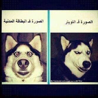 @Bur_RT  صورته بتويتر غير هههه