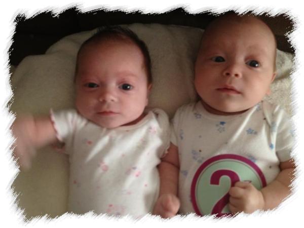 chicstar74's tweet photo. Sterling and Steele are 8 weeks old. So far they are still in the newborn stage. Soon we should see smiles and giggles. http://t.co/dhf55OvM