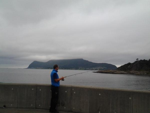 Mikke is trying to catch some garfish for the aquarium.