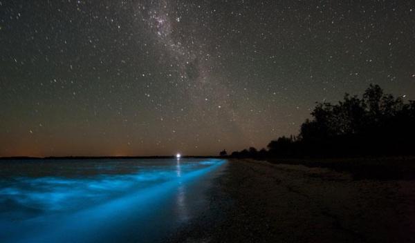 I svetlece jezero. Svetlost izazivaju mikroalge u vodi. Bioluminescent Lake, Australia.