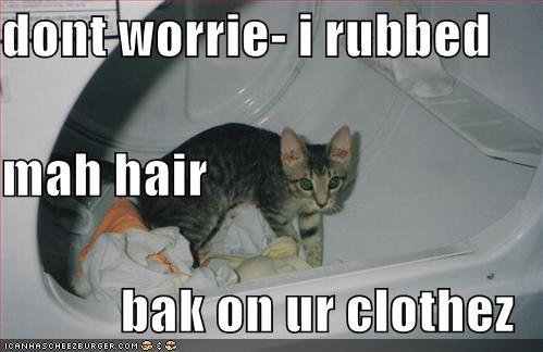 addy_oreo's tweet photo. TFTD: No outfit is complete without a few cat hairs. 
- Unknown http://t.co/XVXRL0UK