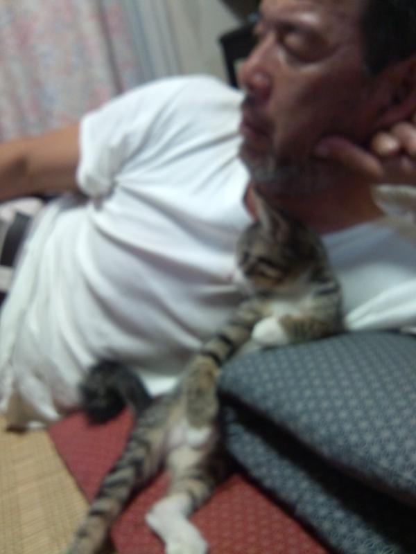 TOMOSU1107's tweet photo. オリンピックを見ている父ちゃんとくまお(^^)vかわいすぎる！ http://t.co/r4a3flRm