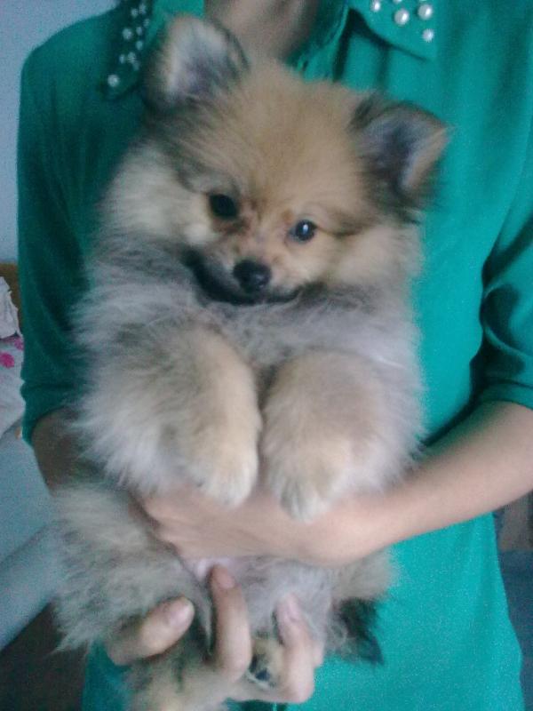 blue_onaiR's tweet photo. ลูกคนเล็กมาแล้ว วว ว ชื่อ..น้องน้ำเย็นค๊าฟ:) http://t.co/EQd343fH