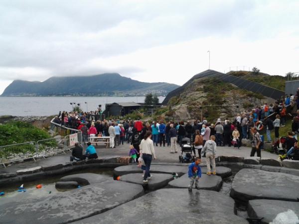 The pequin feeder is giving our humbolt penquins the dinner in his always classy style every day at 14.30