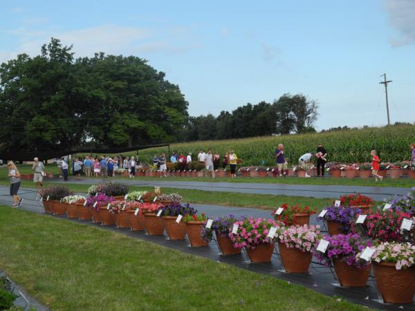 RakerTrials's tweet photo. @HortCouture Day at Raker is moving right along. Had some rain this morning but now the sun is shining! http://t.co/Xfn0BZUA