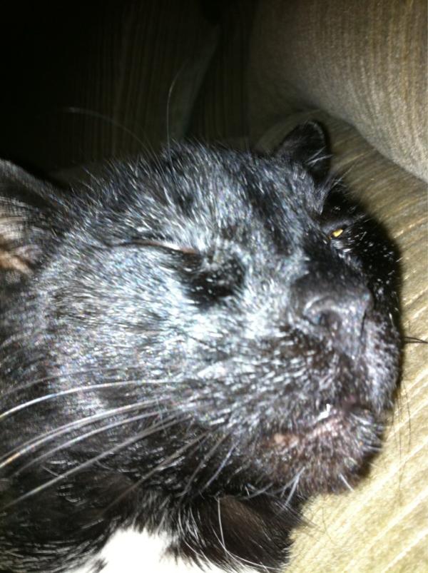 Jnyhouse9's tweet photo. My wake up call in my face http://t.co/ipWjjdKb